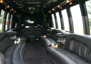 28 Passenger VIP Luxury Van Limousine